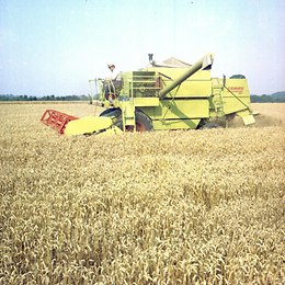 DOMINATOR 80 в поле -