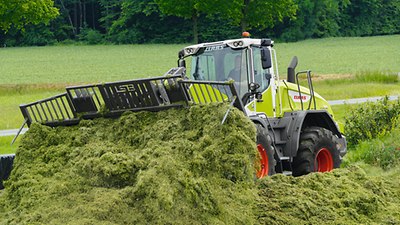 TORION medium series Wheel loader