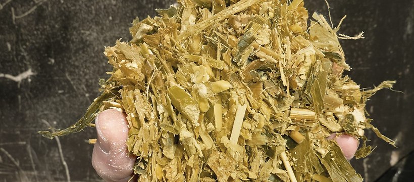 Fermented chopped material -